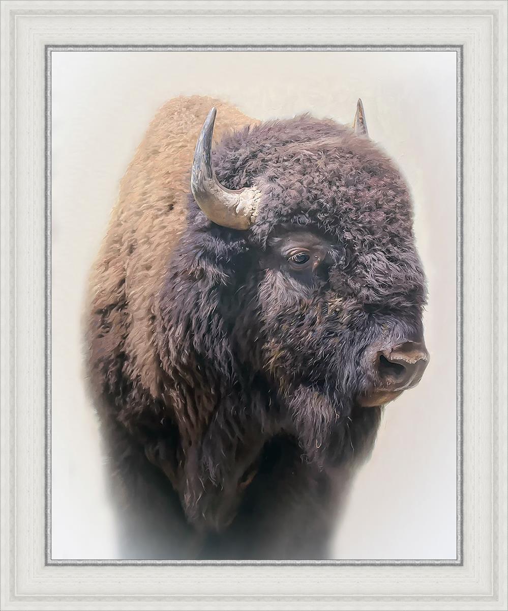 Bison By Matthew Grant | Premium Bison Meat & Jerky | High-Protein Snacks for Camping, Hiking & Outdoor Adventures