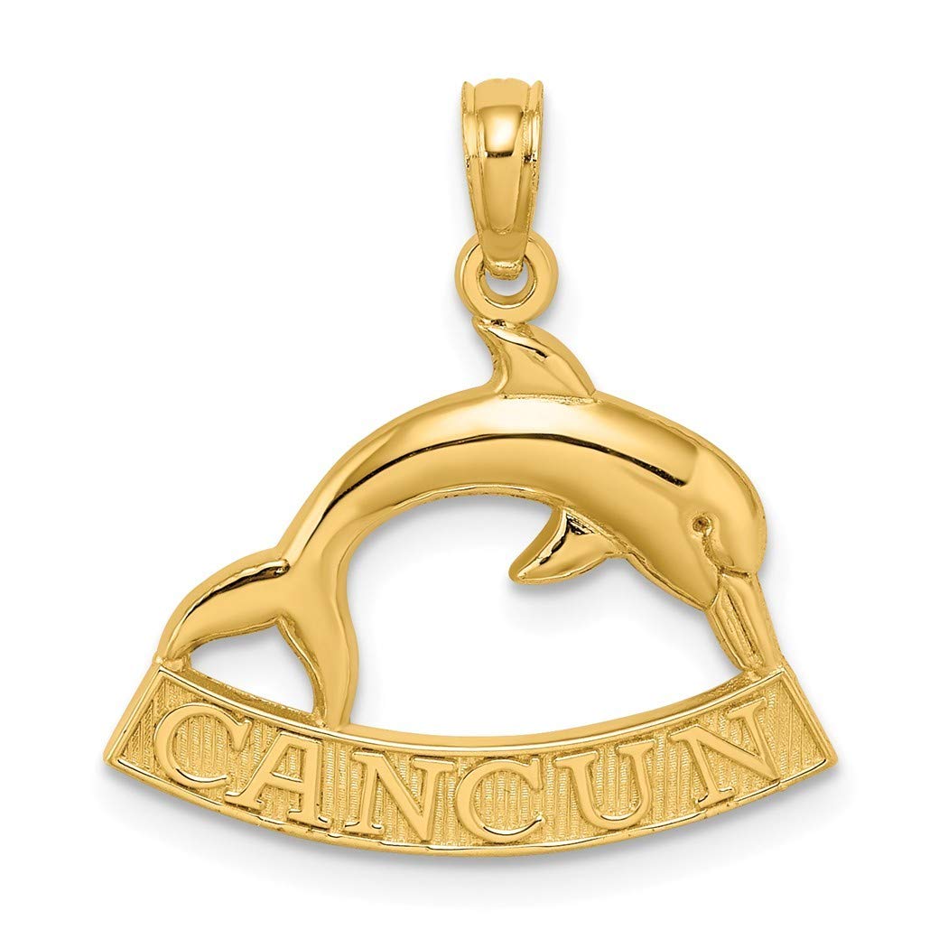 14K Gold High Polish Cancun Dolphin Charm Pendant Necklace for Women - Elegant Jewelry Gift for Birthday, Anniversary & Beach Vacations