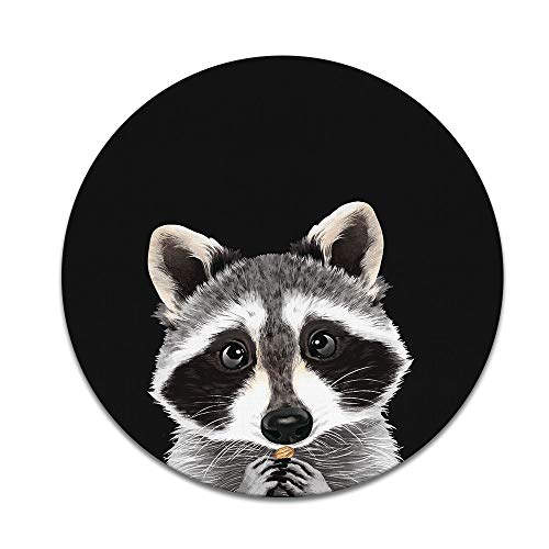 Raccoon
