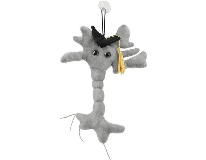 GIANTmicrobes Graduation Brain Cell Plush Toy - Class of 2025 Graduation Gift for Nurses, Medical Students & Science Lovers | Cute Stuffed Animal for Graduation Parties, Office Decor & College Dorm
