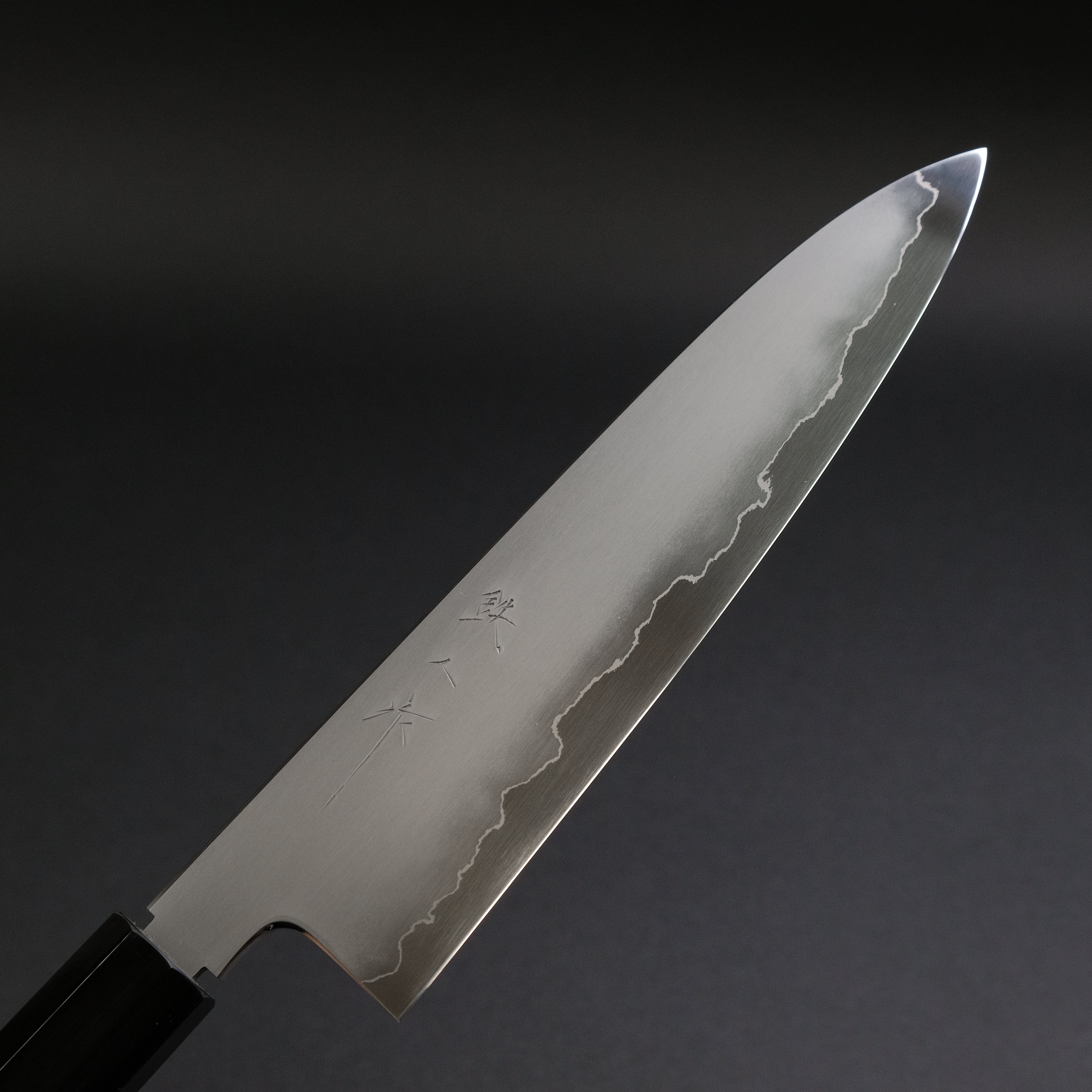 Premium Tetsujin Silver #3 Kasumi Gyuto 210mm Japanese Chef Knife with Taihei Tagayasan Handle - Perfect for Sushi, Meat Slicing & Professional Kitchen Use