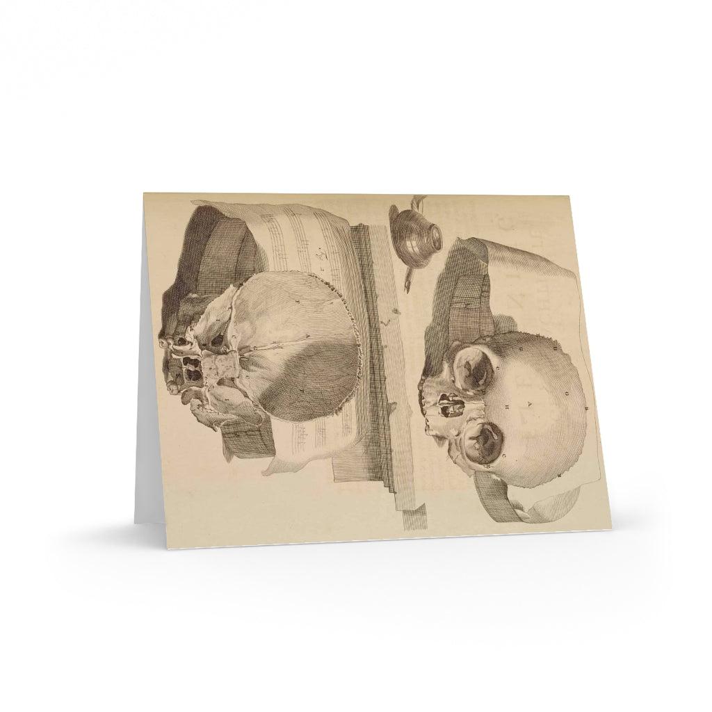 Bisected Human Skull Greeting Card Pack - 12 Unique Halloween Cards with Anatomical Design - Perfect for Halloween Parties, Medical Student Gifts & Dark Humor Enthusiasts