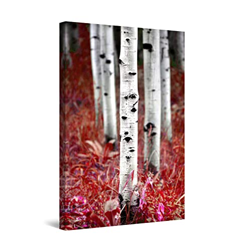 Red Grass Trees