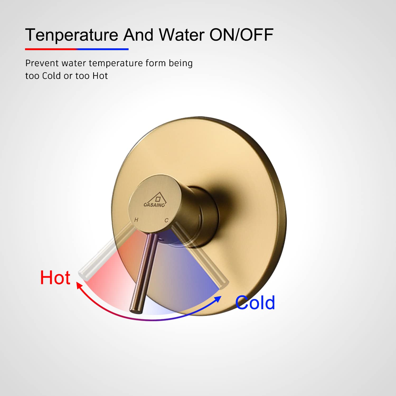 CASAINC 10 Inch Round Rainfall Shower Head - Single Function Wall Mounted Shower System with Brushed Gold Finish | Perfect for Modern Bathroom & Spa-Like Shower Experience
