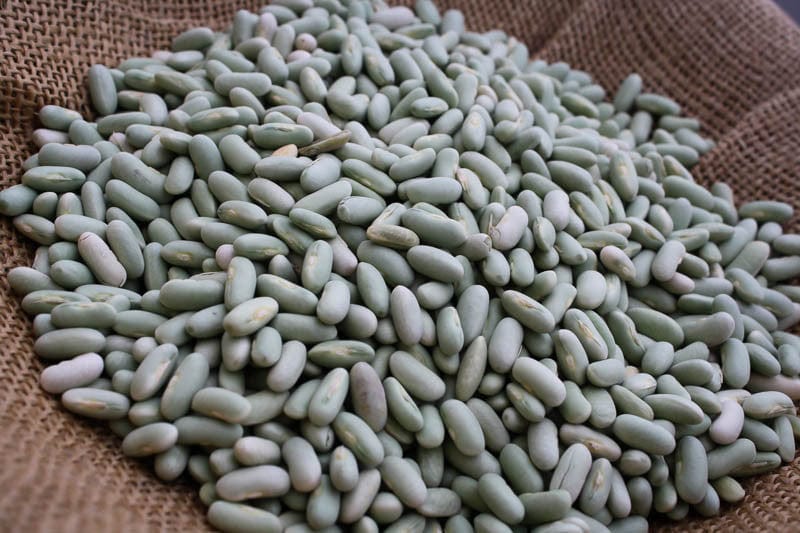 Rancho Gordo Premium Flageolet Beans 1 lb | Organic Heirloom French Green Beans | Perfect for Soups, Stews & Healthy Side Dishes