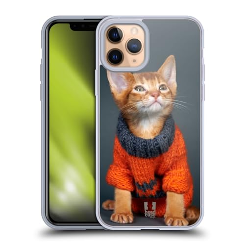 Orange Abyssinian Kitten