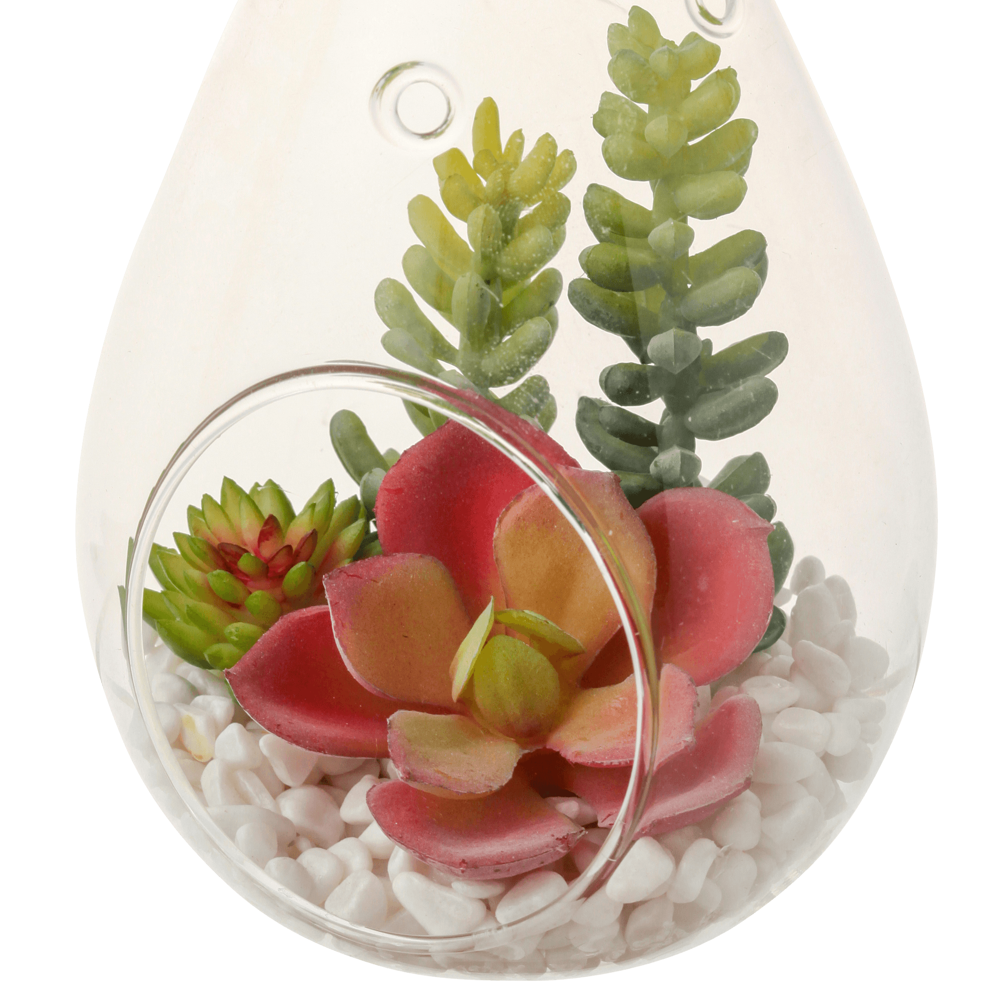 Stylish Caro Object Succulent Planter - Pink & Green Ceramic Flower Pot for Home Decor, Office Desk, or Gift Idea
