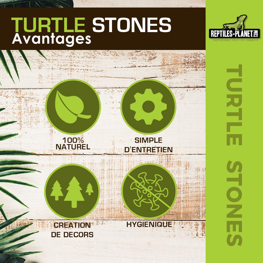Natural Turtle Stones for Aquarium & Terrarium - 4.5kg (10 lbs) Decorative Rocks for Reptile Tanks, Fish Tanks, and Aquatic Habitats - Perfect for Basking, Hiding, and Decorating