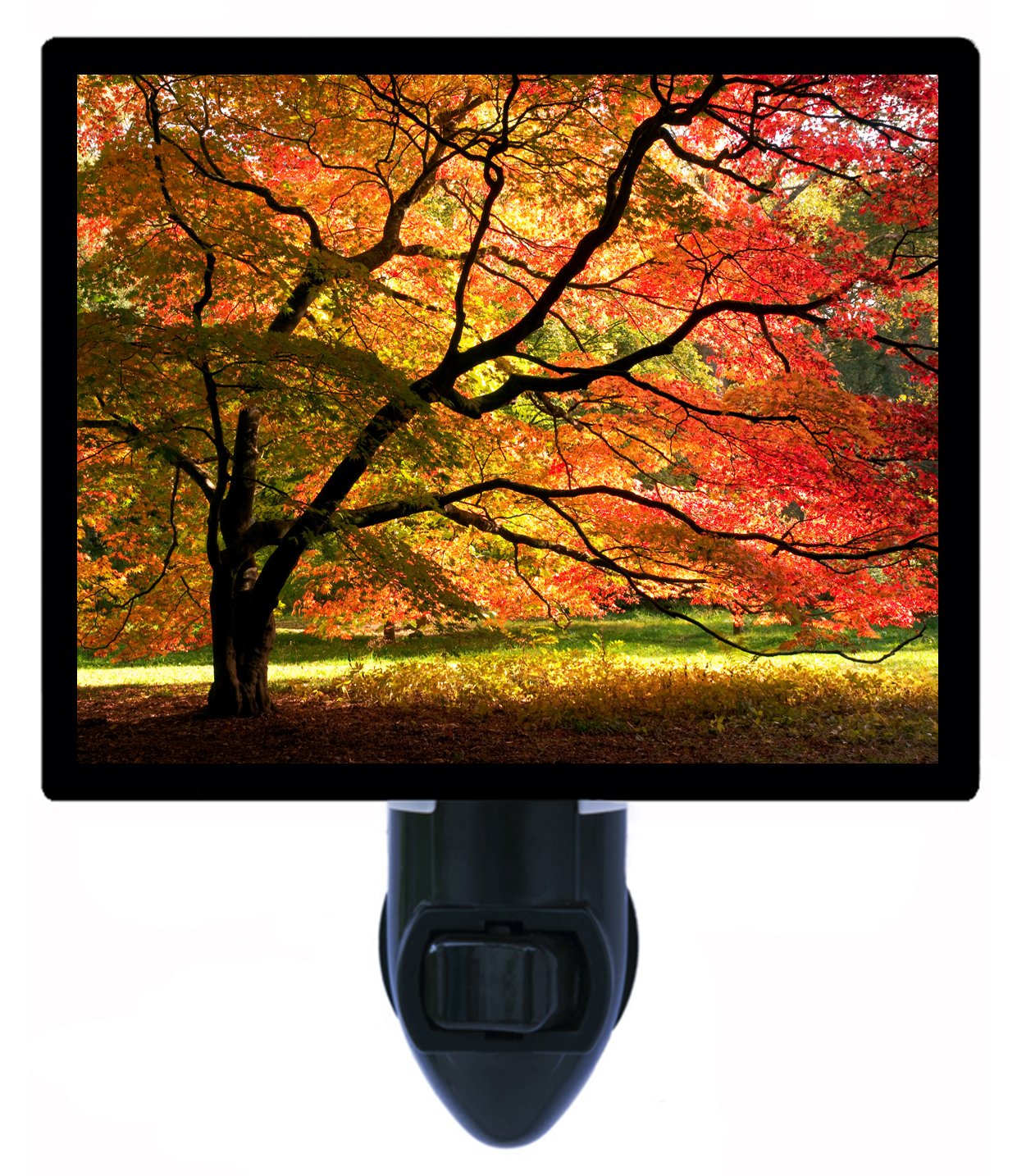 Japanese Maple Tree LED Night Light - Autumn Landscape Decor for Bedroom, Nursery, Kids Room & Home Ambiance