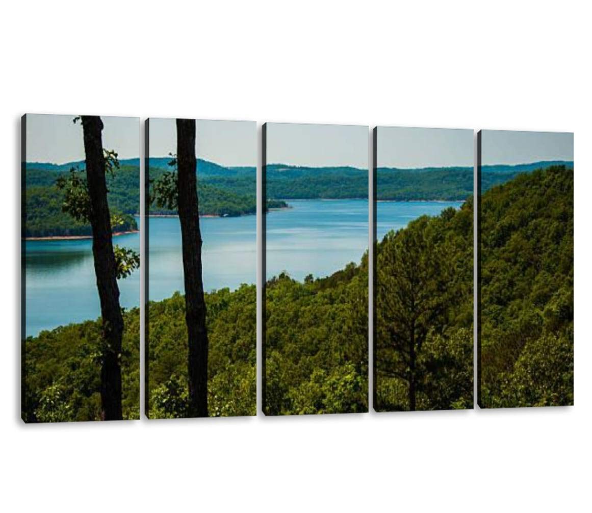 5 Panels Tropical Forest Canvas Wall Art - Lush Green Ozarks Arkansas Landscape Painting, Modern Framed Prints for Office, Bedroom & Home Decor, Ready to Hang (60