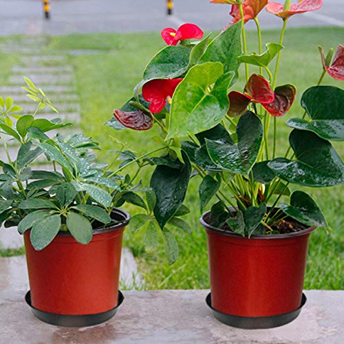 14 Inch 12-Pack Plastic Plant Saucers - Round Drip Trays for Succulent Pots, Indoor & Outdoor Use - Perfect for Catching Water Drips and Soil (12-Pack, 14