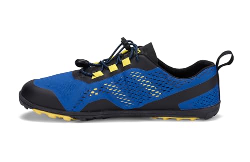 Blue/Yellow