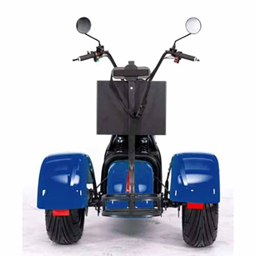 2000W 60V Electric Fat Tire Trike - 3 Wheel Scooter Moped Bike with Golf Rack, Similar to CityCoco Bike CT 3G - Perfect for Commuting, Golf Course Transport & Urban Adventure