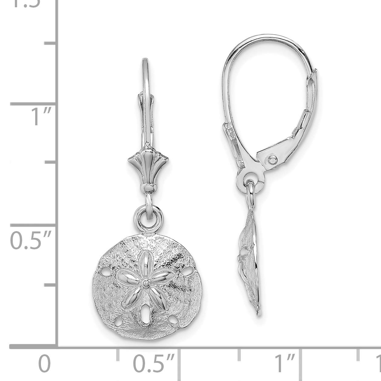 Real 14k Gold Polished Sand Dollar Dangle Leverback Earrings - Perfect for Beach Weddings, Summer Vacations & Boho Jewelry Collections
