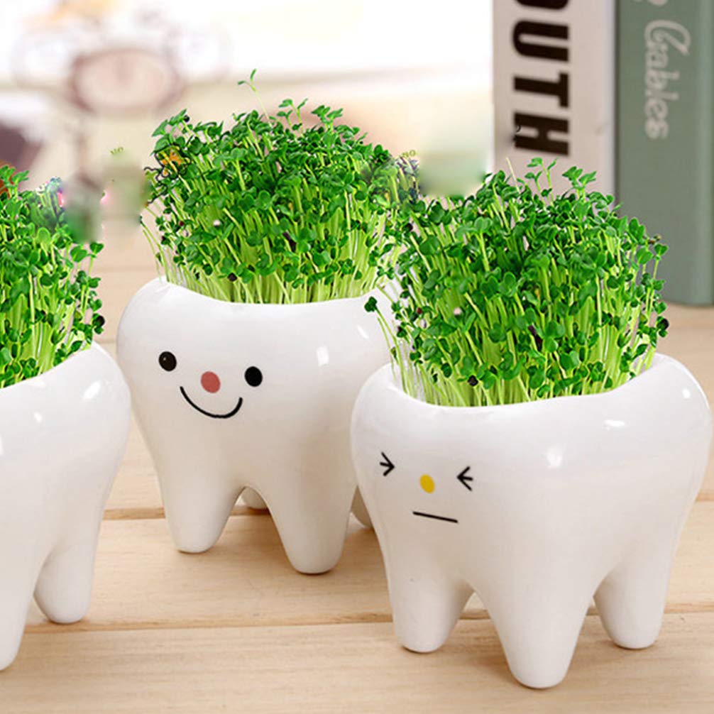 LIOOBO 2-Pack Creative Ceramic Plant Pots with Holder - Decorative Flower Pots for Succulents, Herbs, or Small Plants - Perfect for Home, Office, and Garden Decor