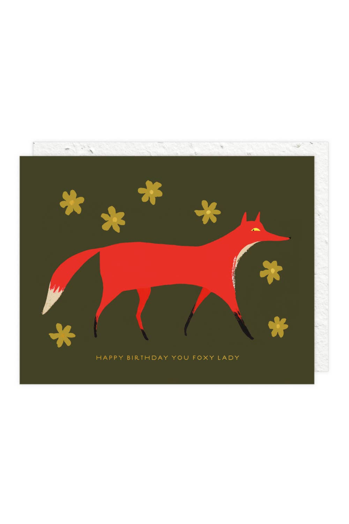 Funny Birthday Card for Women & Men - Cute & Unique Greeting Card for Friends, Family - Perfect for Birthdays, Parties & Special Occasions