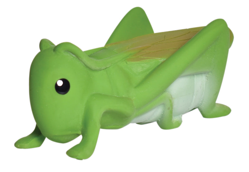 Tikiri My First Garden Friends Natural Rubber Baby Toys - Safe & Eco-Friendly for Toddlers Outdoor Play & Learning Activities