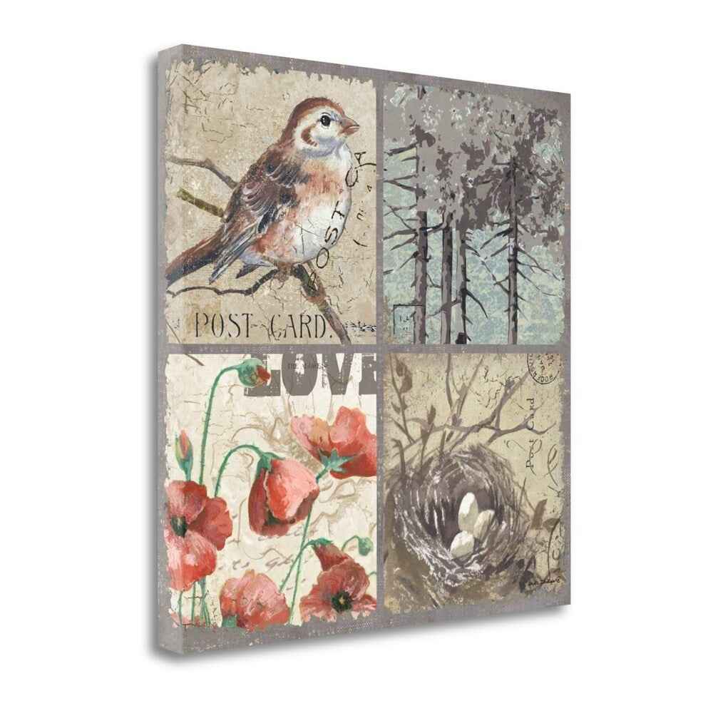 Bird 4 Patch III by Anita Phillips - Premium Fine Art Giclee Print on Gallery Wrapped Canvas - Ready to Hang Wall Decor for Living Room, Bedroom & Office