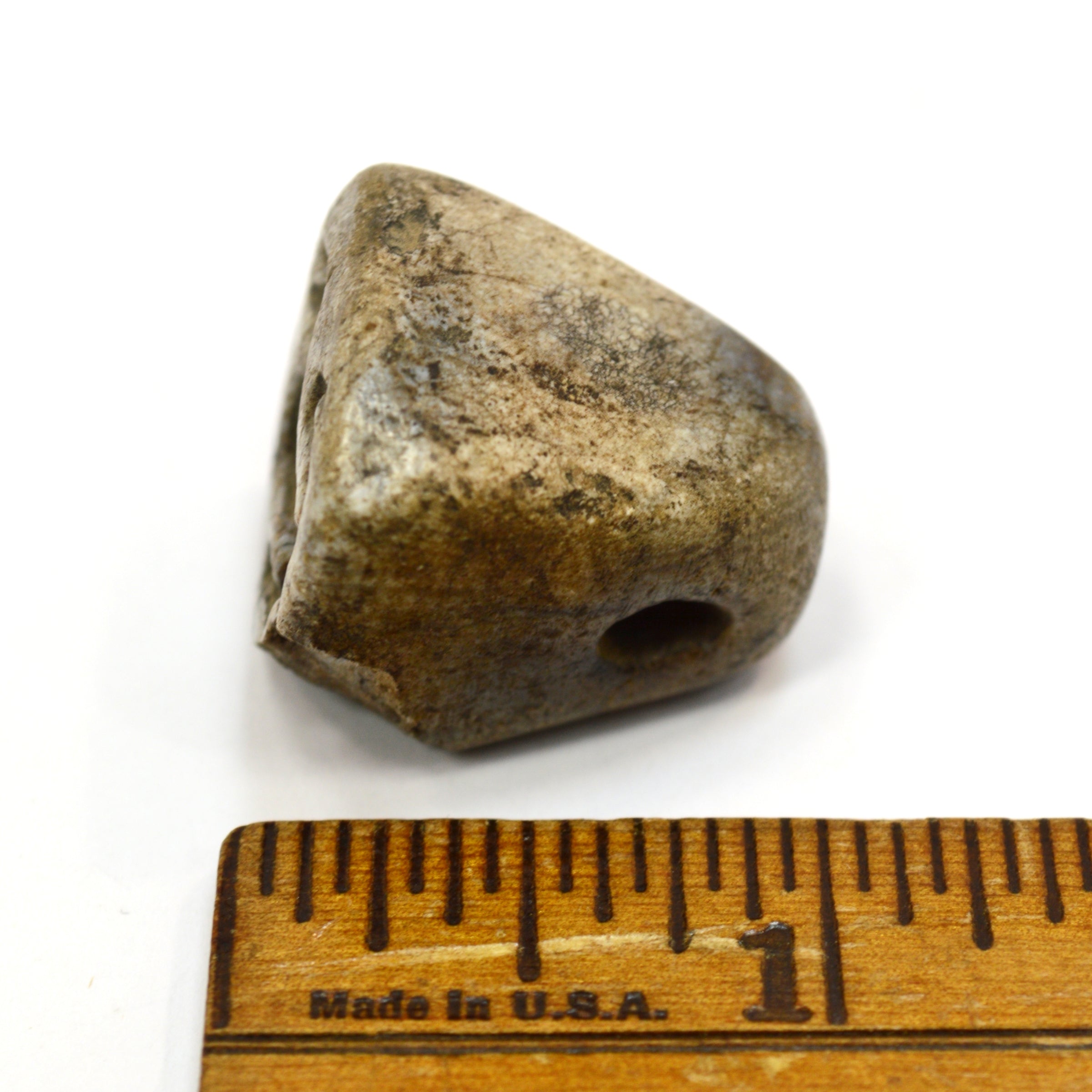 Ancient Near East Steatite Conoid Seal Stamp - Authentic Tel Megiddo Artifact with Dog/Cat/Hyena Animal Carving | Perfect for Archaeology Collectors, History Enthusiasts & Ancient Artifact Displays