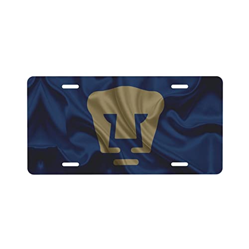Club Universidad Nacional 2