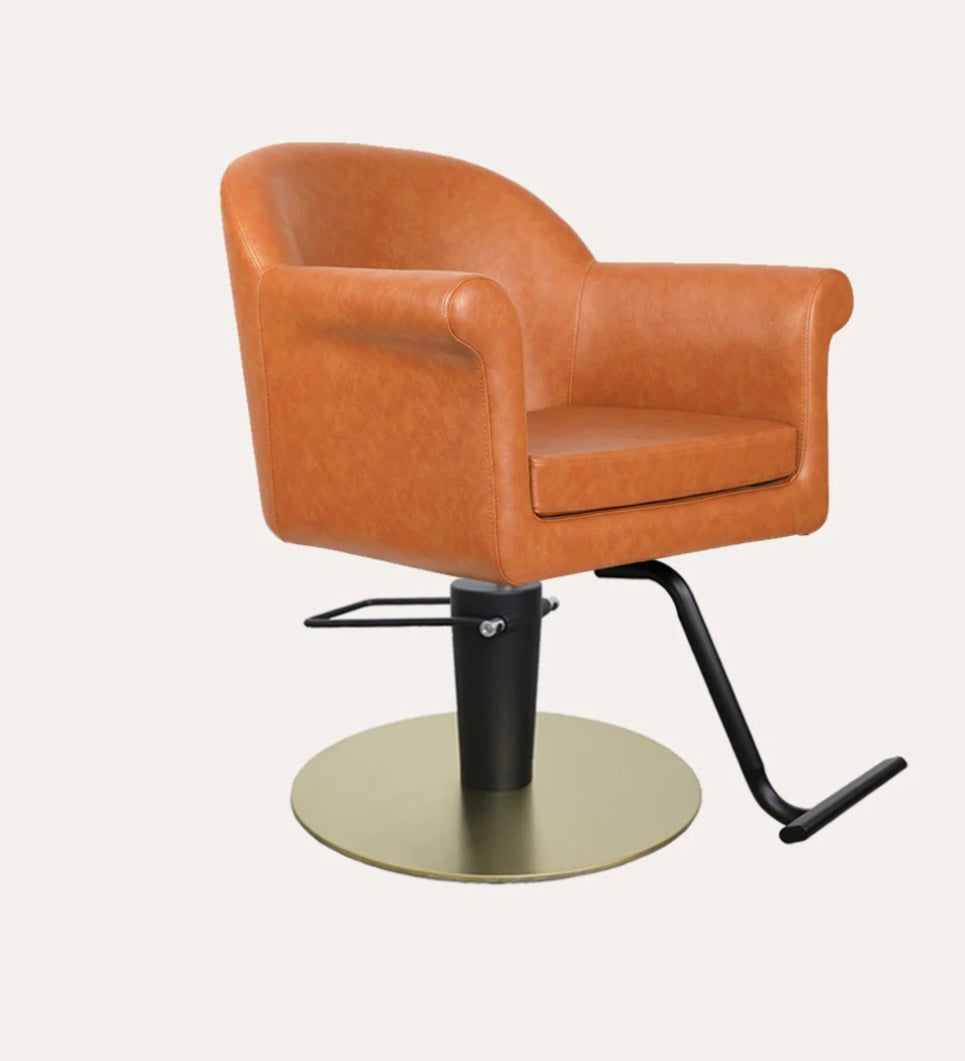 Premium Hudson Salon Chair - Professional Hydraulic Styling Chair for Hairdressers & Barbers - Heavy Duty Beauty Salon Furniture for Hair Cutting, Washing & Styling - Perfect for Salons, Barbershops & Home Use