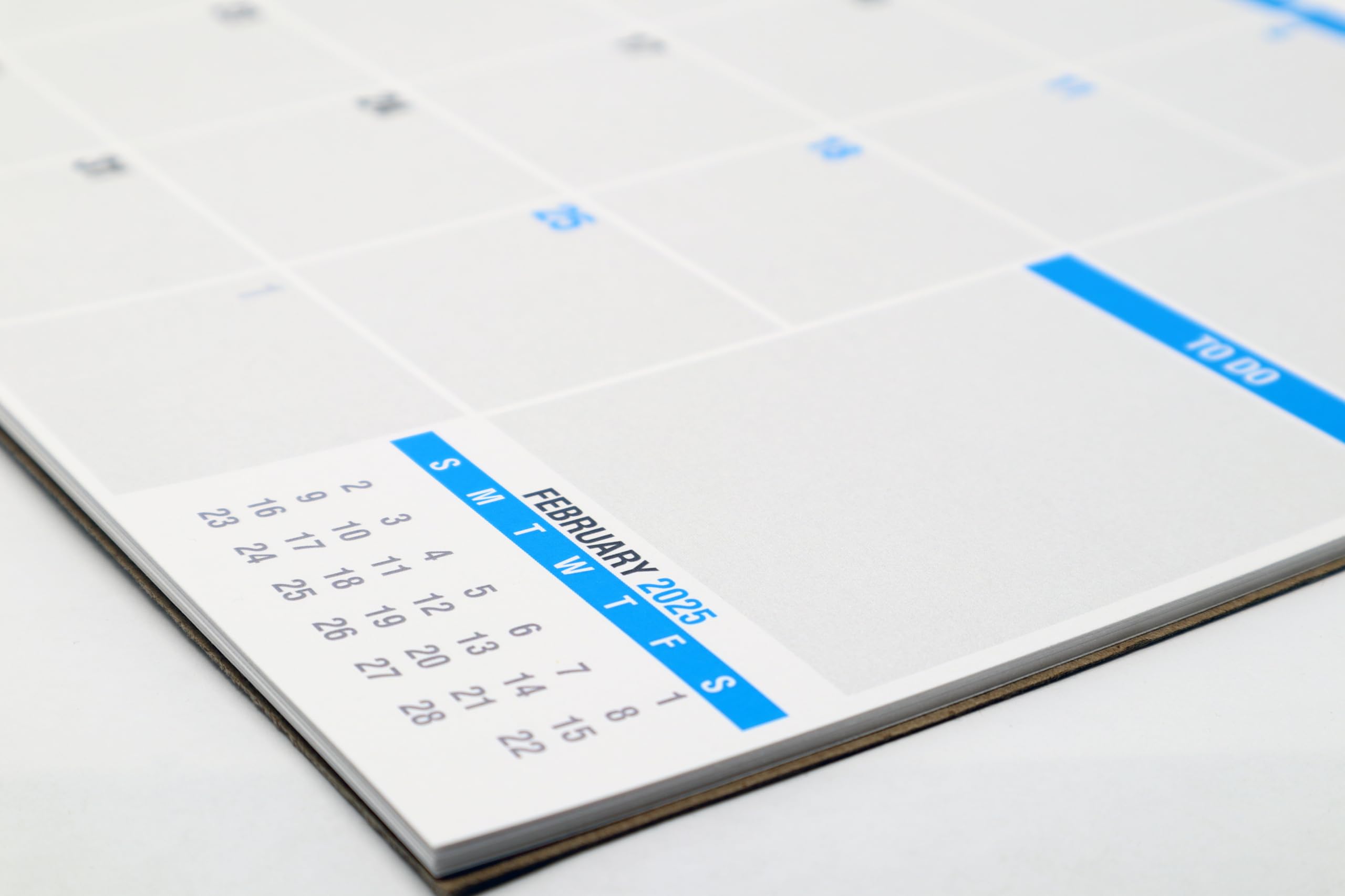 SplightPrints 2025 Large Refrigerator Calendar - 17