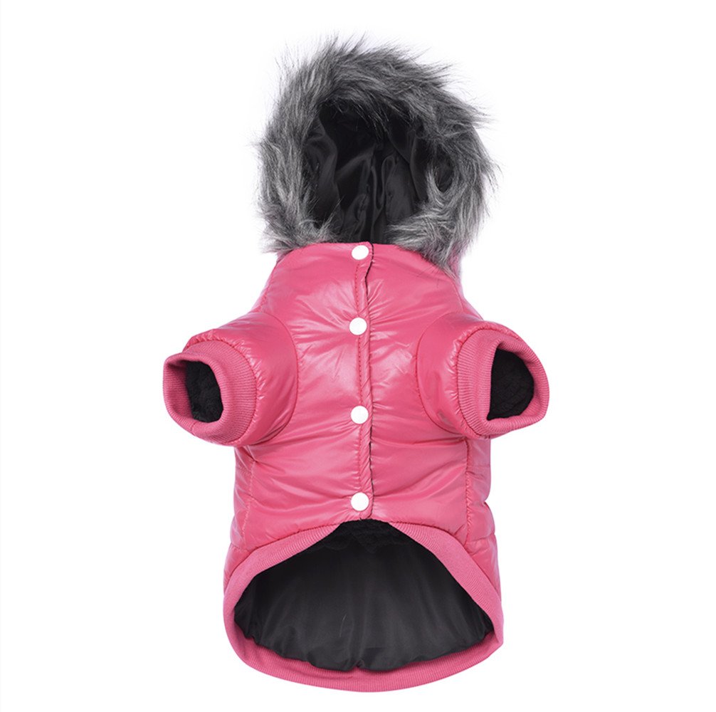 NAMSAN Small Dog Coat - Winter Pet Sweater for Small to Medium Dogs | Warm Windproof Jacket for Puppies & Cats | Perfect for Snowy Days & Outdoor Adventures