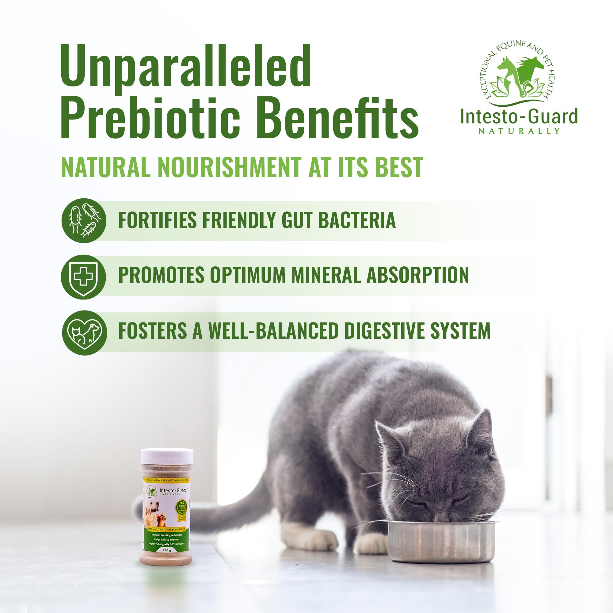 Premium Probiotic & Prebiotic Powder for Dogs & Cats - 180G All-Natural Digestive & Immune Support | Promotes Healthy Gut Flora & Nutrition | 90 Day Supply (6 Pack) - Ideal for Daily Pet Wellness & Digestive Health Maintenance
