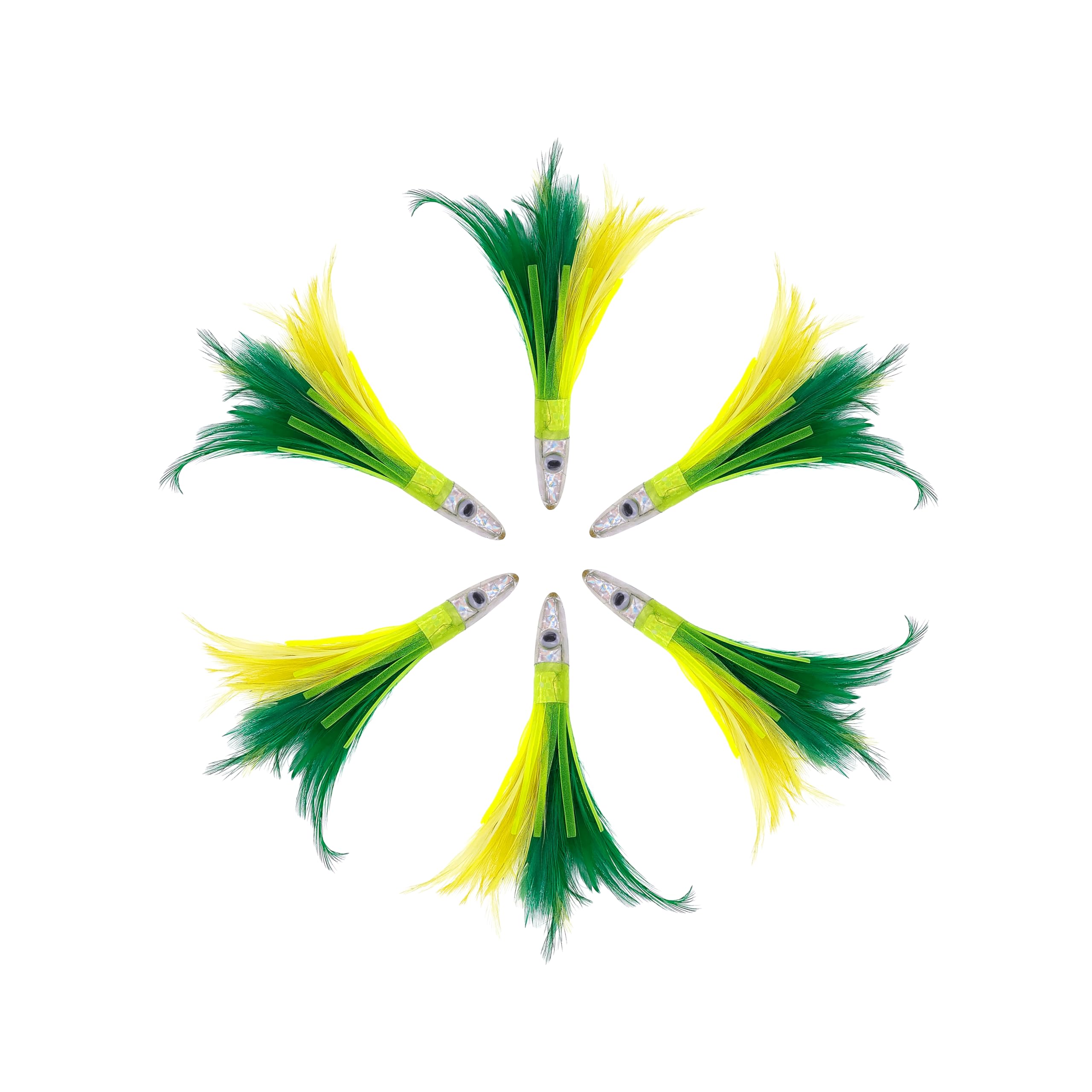 6