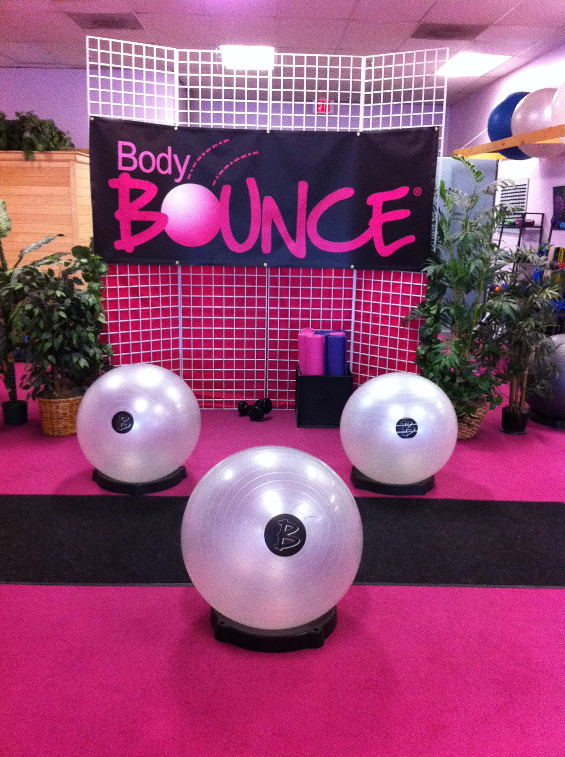 BODYBOUNCE Fitness Ball Workout DVD - Cardio Exercise for Low Impact Training | Fun & Challenging Home Workouts | Perfect for Yoga, Pilates & Core Strengthening