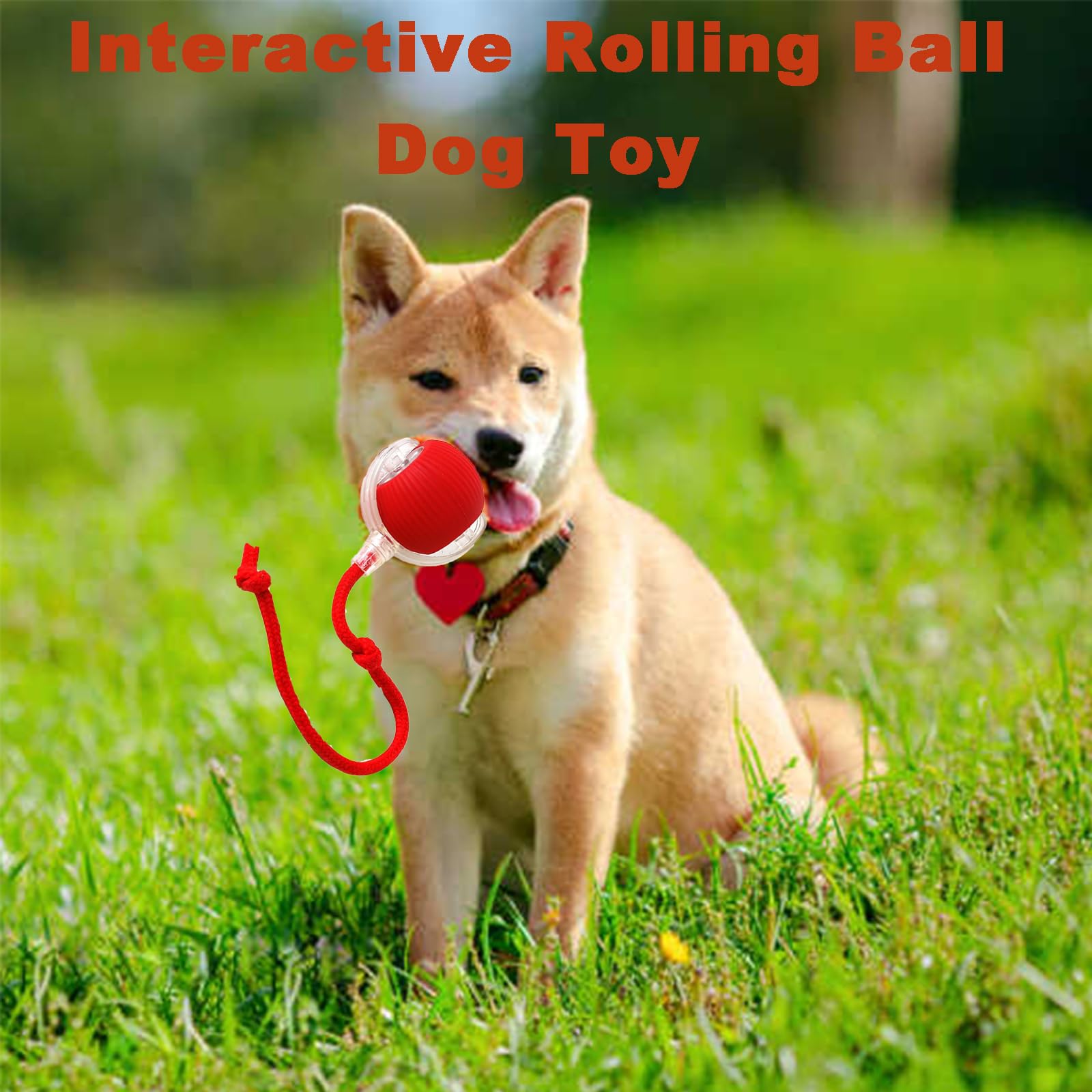 Interactive Cat Toys Rolling Ball - Motion Activated Dog Ball for Indoor Play - Chewie Viral Rolling Ball with 360° Smart Auto Movement - Electric Pet Toy for Cats & Dogs - Perfect for Exercise and Boredom Relief