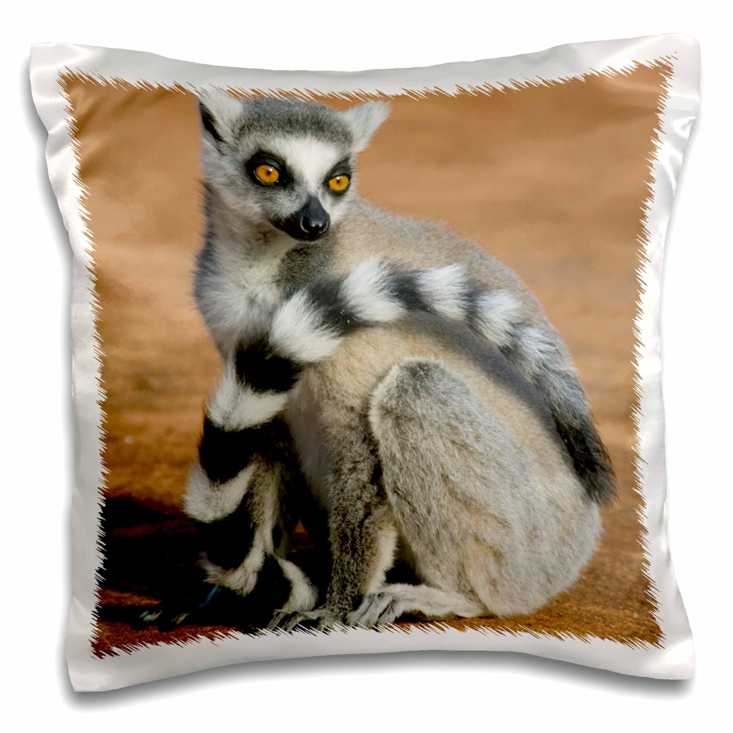 3dRose 16x16 Inch Pillow Case - Ring-Tailed Lemur from Berenty Reserve Madagascar | Kevin Schafer Wildlife Photography | Decorative Throw Pillow Cover for Sofa, Bed & Home Decor