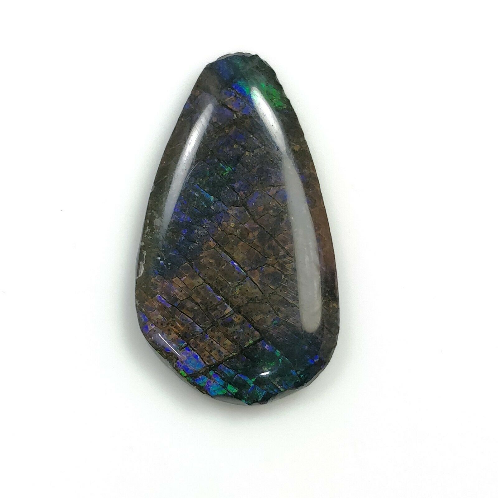 Natural AMMOLITE Gemstone Cabochon - 11.75cts Bi-Color Fossilized Shell, 28x16mm Unique Shape | Jewelry Making, Wire Wrapping, Collectors Specimen (With Video)