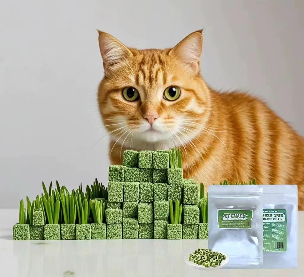 1.76oz Freeze-Dried Cat Grass Granules - 80% Pure Nutrient-Rich Cat Treats | Chicken-Free Healthy Snack for Indoor Cats | Promotes Digestion & Hairball Control - Perfect for Playtime & Training Rewards