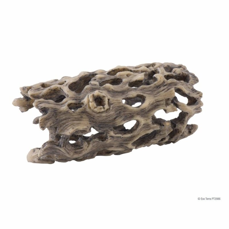 Exo Terra Cholla Cactus Skeleton - Natural Reptile Habitat Decor for Terrariums | Perfect for Bearded Dragons, Geckos & Small Pets | Enhances Climbing & Hiding in Desert-Themed Enclosures