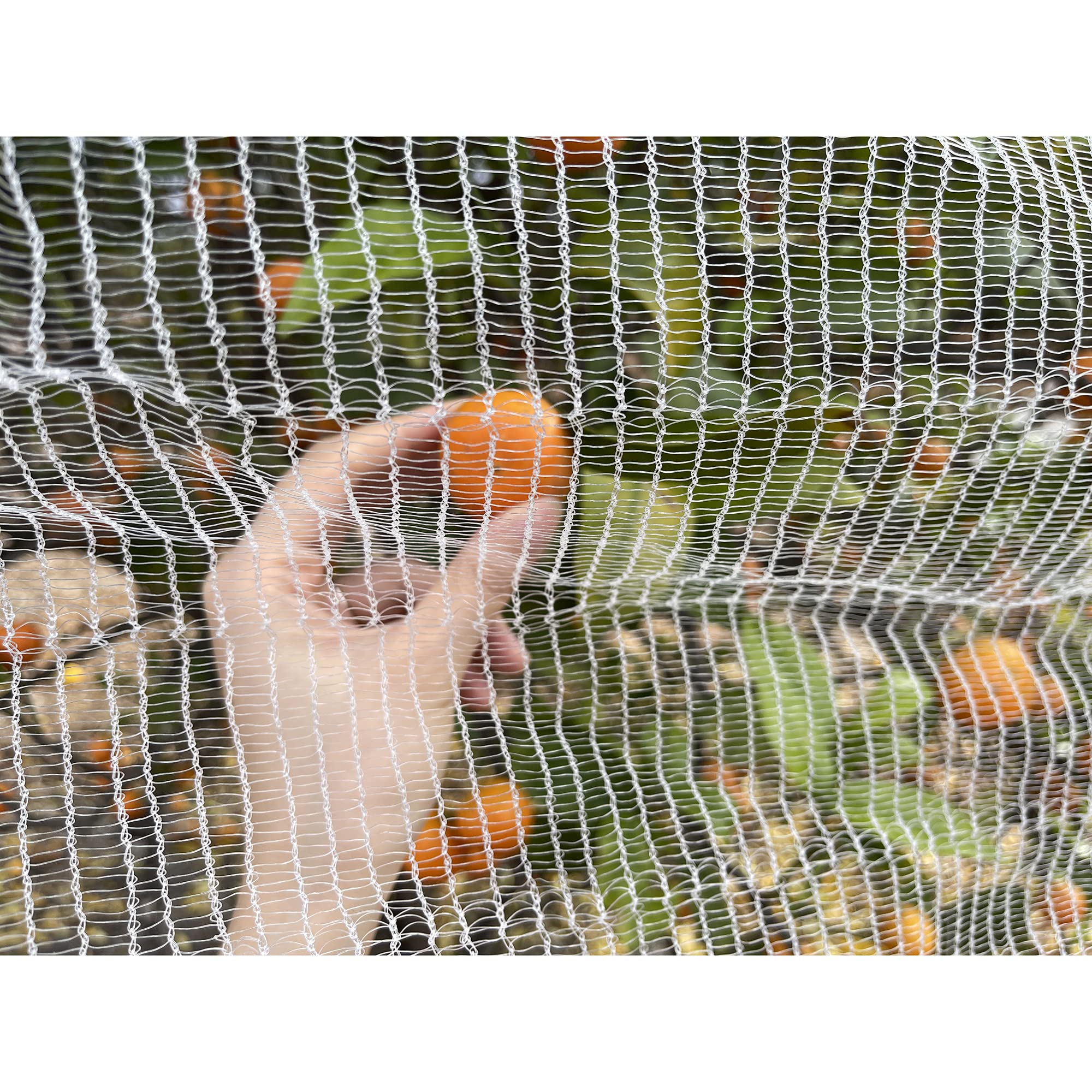 ALION HOME Durable Garden Plant Netting - 14x20 FT Bug & Bird Protection for Fruits, Flowers, Vegetables | UV-Resistant Insect Barrier for Pond, Pool & Backyard Gardening | Floating Protective Cover for Outdoor Plants