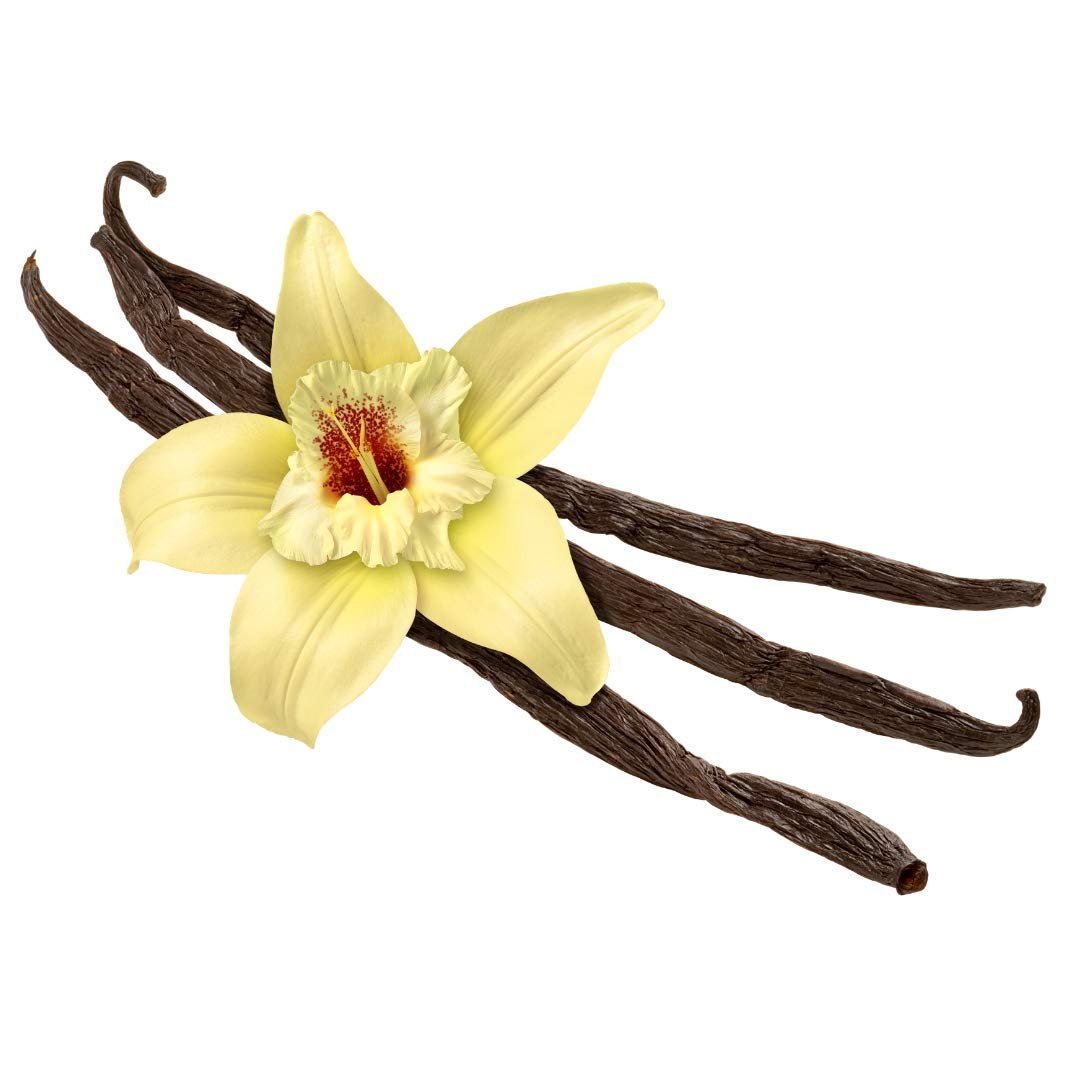 Premium Madagascar Vanilla Beans - Grade A Gourmet Vanilla Pods for Baking, Cooking & Homemade Extracts - Perfect for Cakes, Ice Cream & Desserts