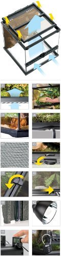 Exo Terra Glass Terrarium 12x12x18 Inches - Premium Reptile Habitat for Geckos, Frogs & Small Animals - Ideal for Home, Office & Classroom Terrariums