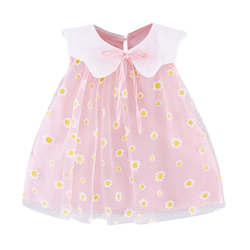 Floral Embroidery Sleeveless Tulle Dress for Toddler Girls | Princess Baby Dress & Skirt | Size 24 Long Dress | Perfect for Birthday Parties, Photo Shoots & Special Occasions