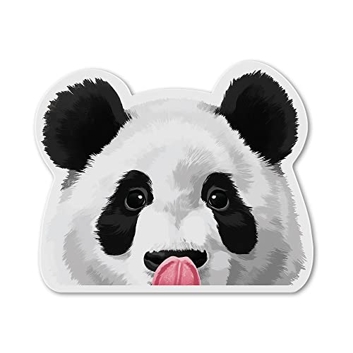 Baby Panda Bear