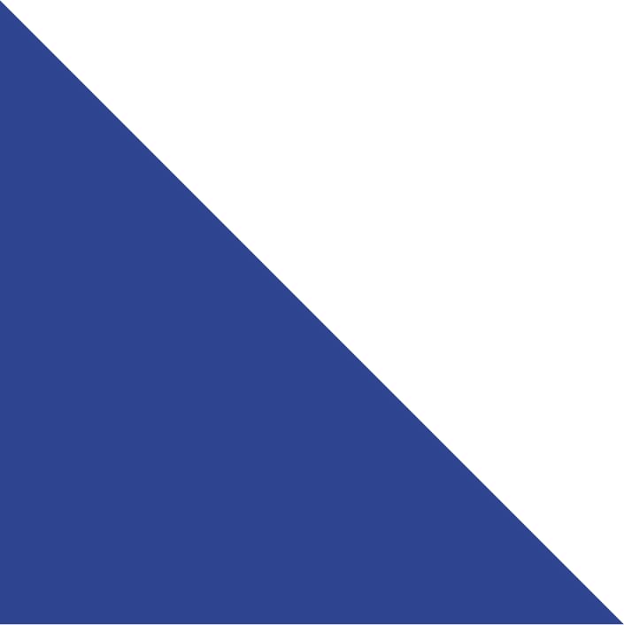 Indigo Ice/White Trim