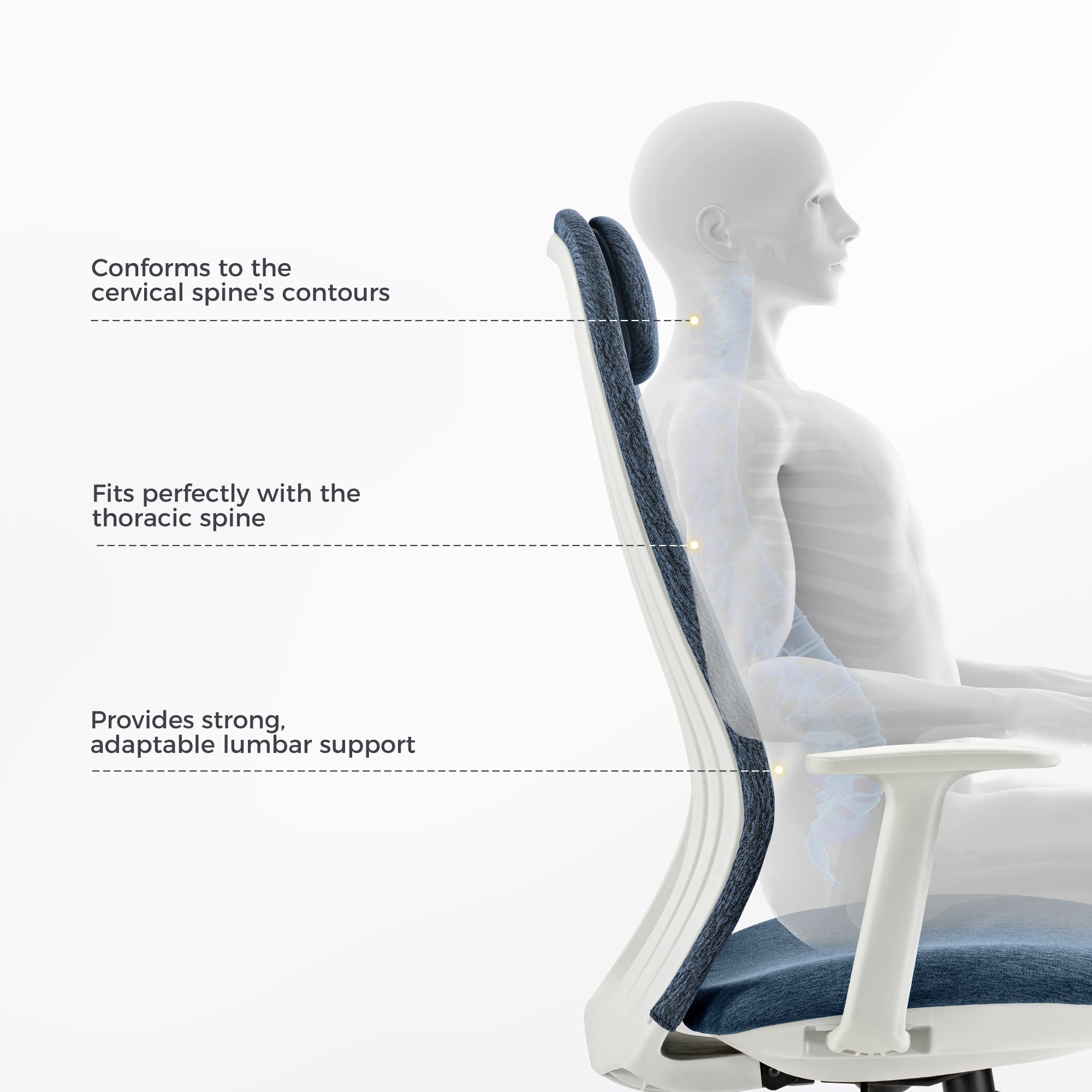 Ergonomic Office Chair - Skylar Lite Duo Hue Adjustable Height Swivel Task Chair for Home & Office Workspace, Comfortable Computer Desk Chair for Long Hours Sitting, Perfect for Gaming, Studying, and Remote Work