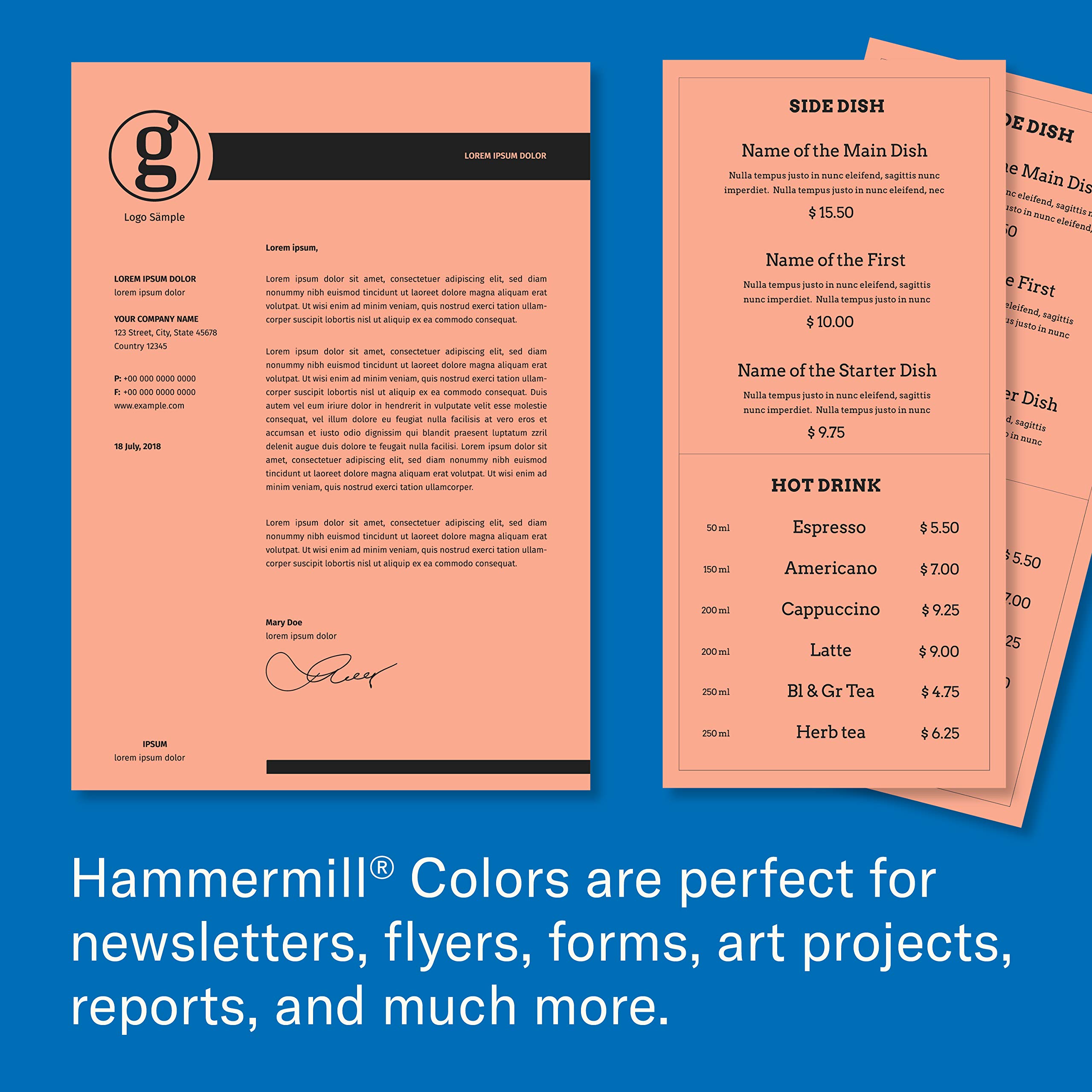 Hammermill 24 lb Salmon Colored Printer Paper, 8.5 x 11 Inches, 500 Sheets/Ream - Premium Pastel Paper for Office, School & Crafting - Made in USA (103120R)