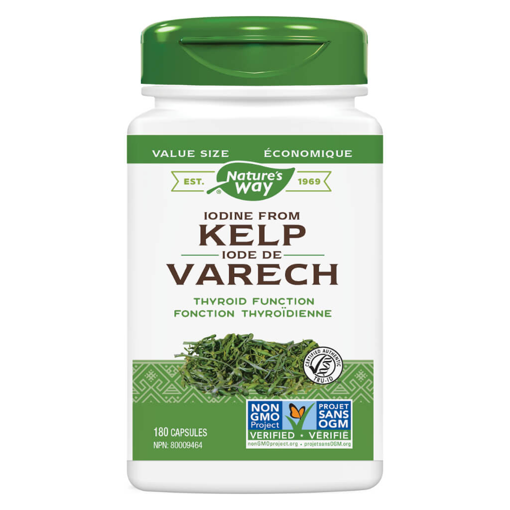 Organic Kelp Powder - Premium Seaweed Supplement for Thyroid Support & Detox - Rich in Iodine & Minerals - Perfect for Smoothies, Soups & Health Drinks