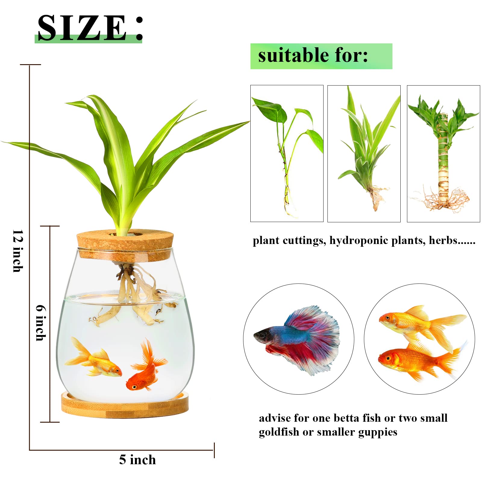 Clear Glass Desktop Fish Bowl with Wood Lid & Bamboo Stand - Small Betta Fish Tank for Plants, Terrarium - Perfect Home Office Decoration & Unique Gift Idea for Aquarium Lovers (Ideal for Desk Decor, Zen Spaces & Small Pet Habitats)