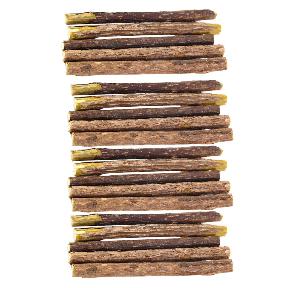 TEHAUX 20PCS Natural Cat Dental Chew Sticks - Healthy Cat Teeth Cleaning Treats for Kittens & Adult Cats (Random Colors) | Perfect for Dental Care & Stress Relief