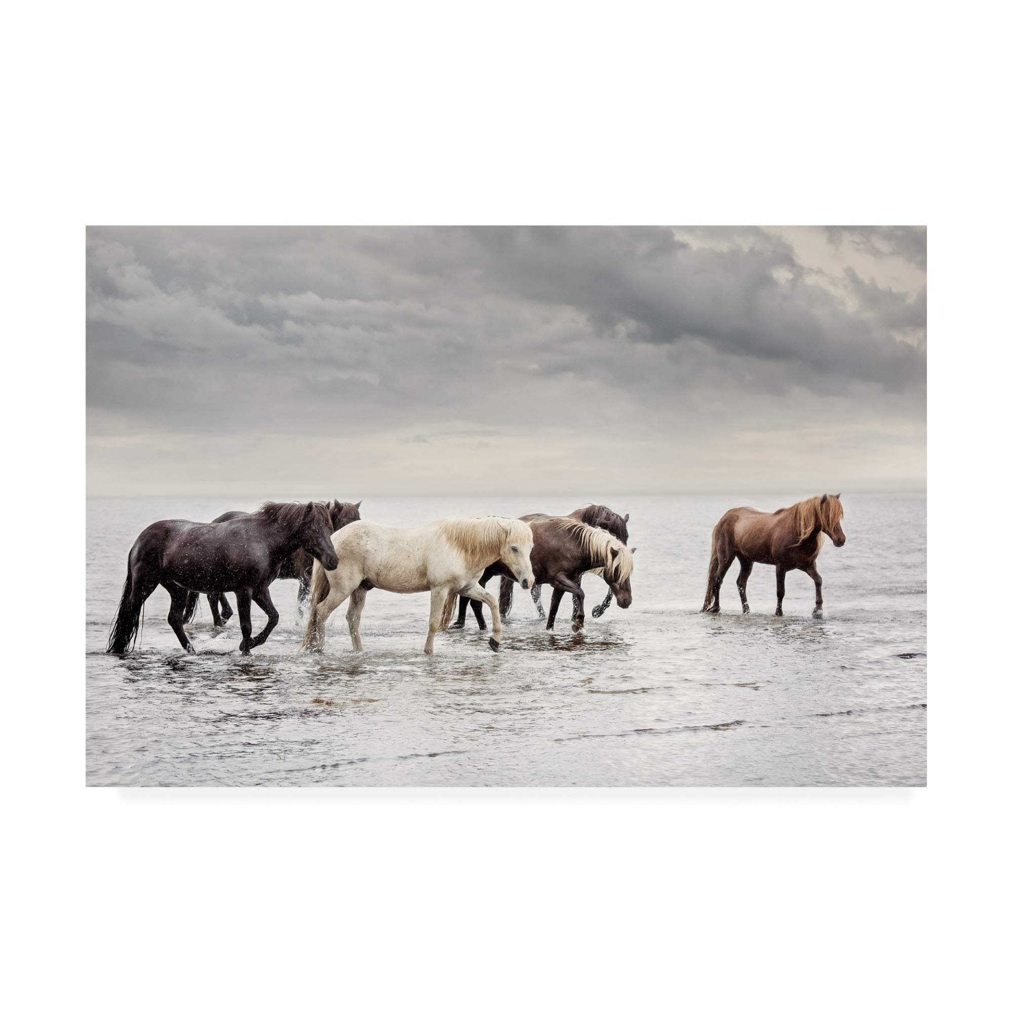 Trademark Fine Art 30x47 Water Horses IV by PHBurchett - Stunning Large Wall Art for Living Room, Bedroom & Office Decor