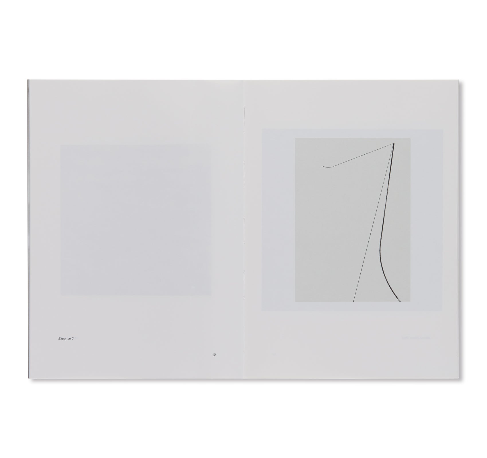 Ratio of Distance by Silke Otto Knapp & Florian Pumhösl - Contemporary Art Book for Collectors & Art Enthusiasts - Perfect for Home Decor, Gallery Displays & Art Studies