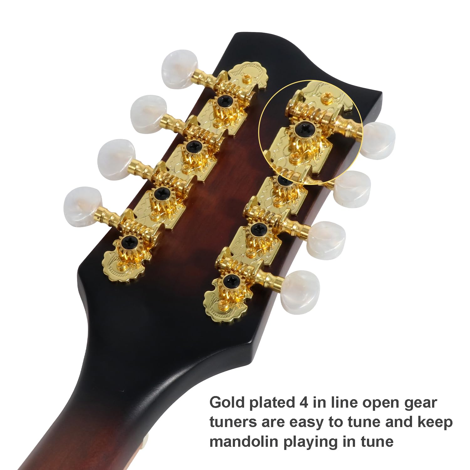 A-Style 8 String Acoustic Mandolin Guitar with Spruce Top & F-Holes - Okoume Neck & Rosewood Bridge - Complete Beginner Kit with Gig Bag, Tuner, Accessories - Perfect for Folk, Bluegrass & Celtic Music Performances