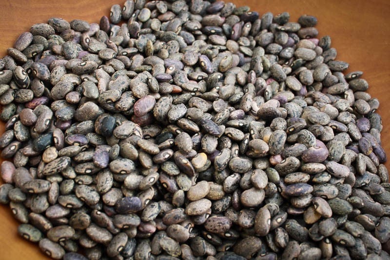 Organic Rancho Gordo Moro Beans - Heirloom Black Beans for Authentic Mexican Cooking | Perfect for Soups, Stews & Rice Dishes